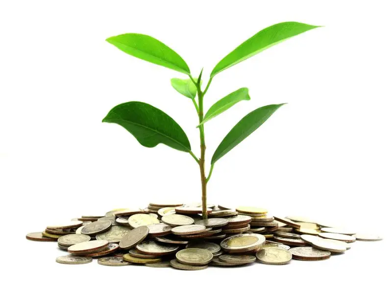 Инвестиции SKF в сохранение экологии | Свежие новости в Сочи